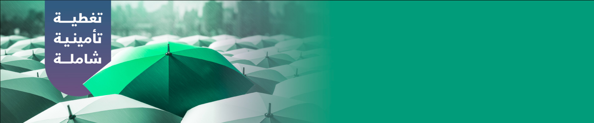 Comprehensive Insurance Coverage